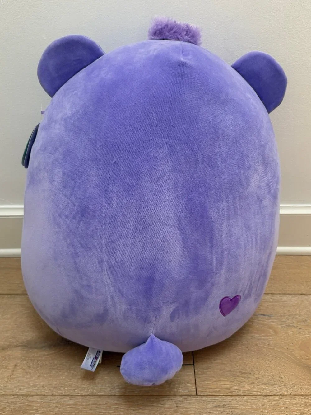 Share Care Bear Squishmallow